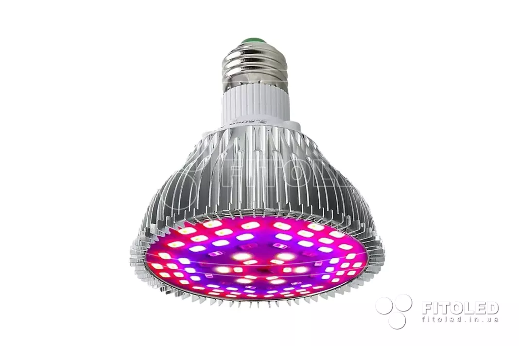 Standard LED lamps for plants